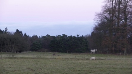 P1040053